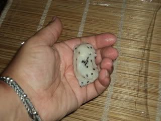 Sushi (foto-receta)