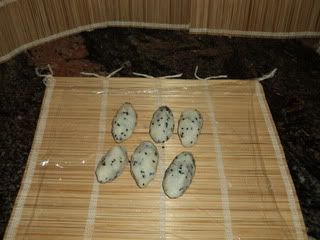 Sushi (foto-receta)