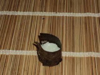 Sushi (foto-receta)