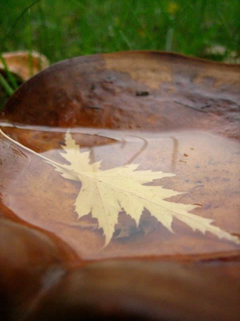 water reflection