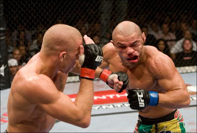 Ufc Fighting Knockouts