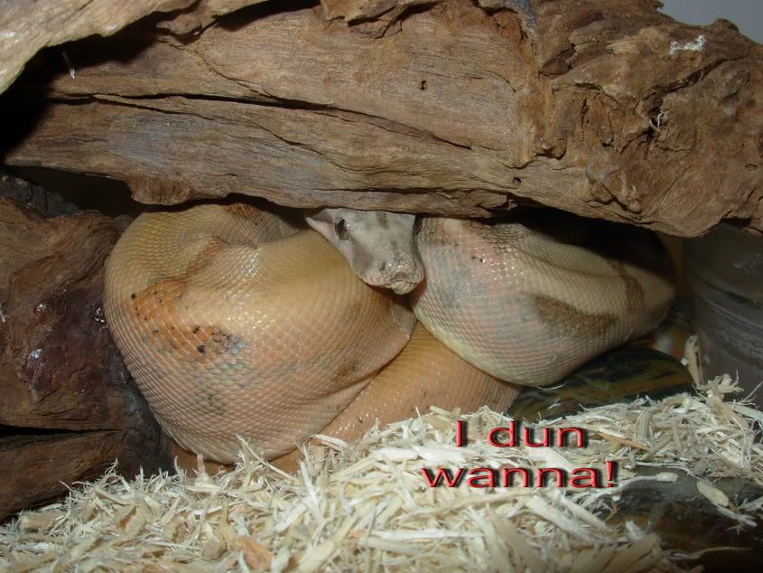 DSCN2316.jpg