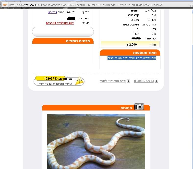 תמונה