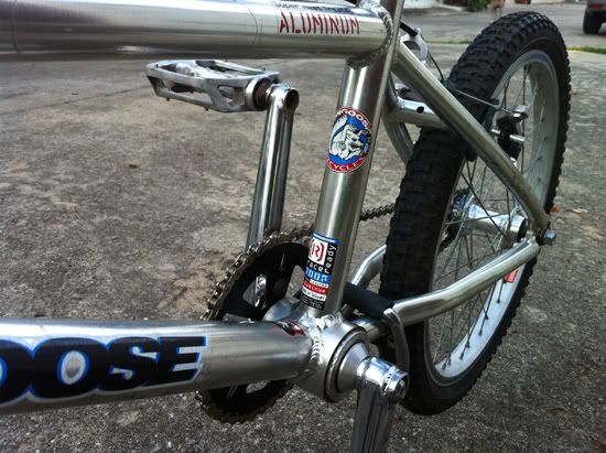 http://i965.photobucket.com/albums/ae133/kampeep/mongoose3.jpg