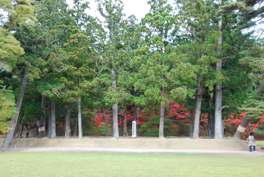 2009jp