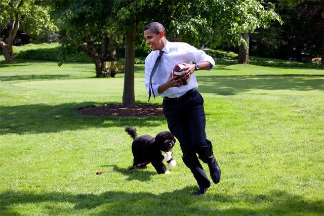 obama football Pictures, Images and Photos