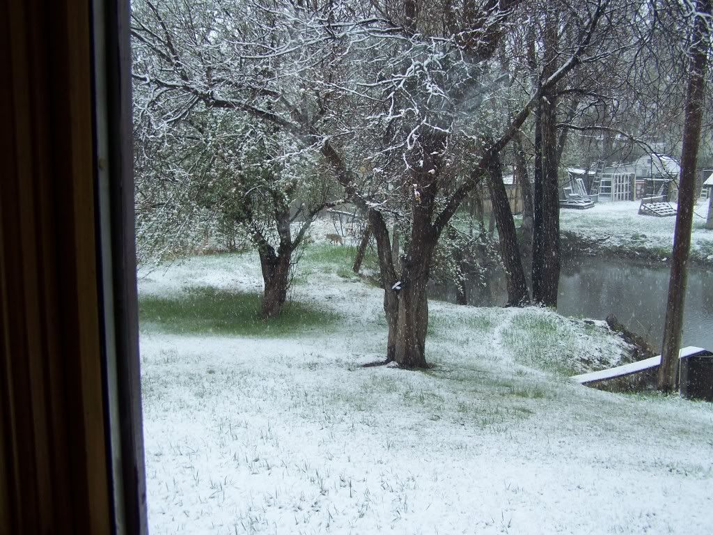 corporate housing in houston