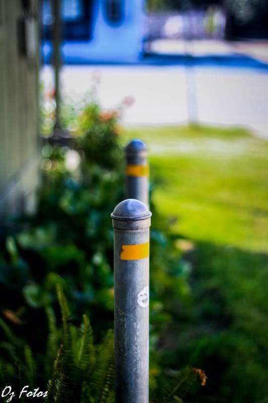 IMAGE: http://i965.photobucket.com/albums/ae138/OZS2KCA/0F3C7B66-EF6A-4E49-87F7-D7A7B96DC74A-2984-000001634958DADD.jpg