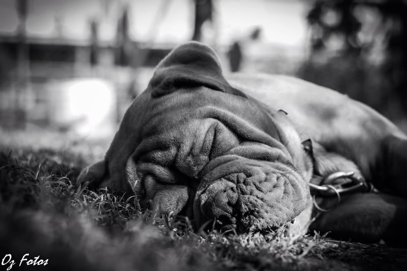 IMAGE: http://i965.photobucket.com/albums/ae138/OZS2KCA/61F49497-C512-4B1B-9423-4D7687E6AF50-2984-00000164B1314993.jpg