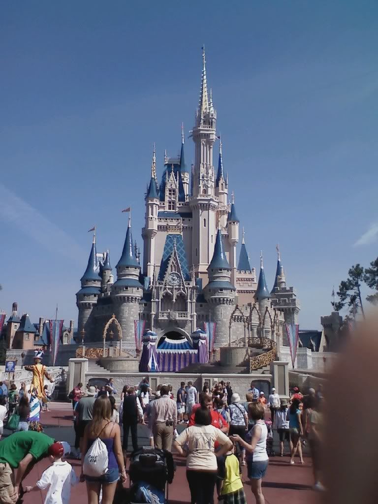 Cinderella In Castle