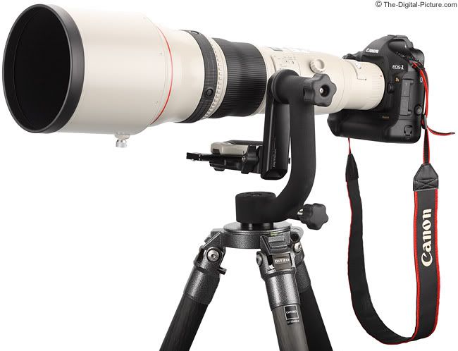 Canon-EF-800mm-f-56-L-IS-USM-Lens.jpg