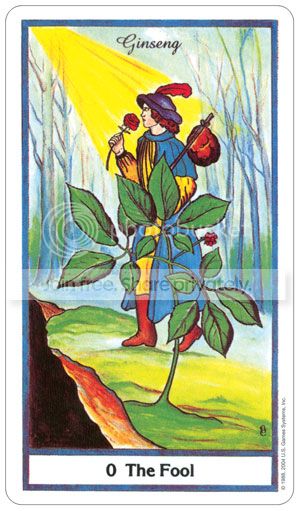 THE HERBAL TAROT CARDS DECK MICHAEL TIERRA CANDIS CANTIN US GAMES