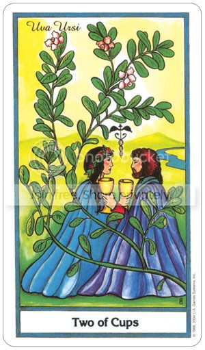 THE HERBAL TAROT CARDS DECK MICHAEL TIERRA CANDIS CANTIN US GAMES