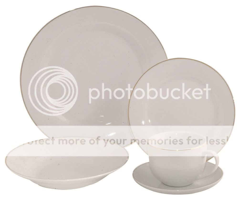 20 Piece Fine Porcelain Plain White with Real Gold Edge Classic Dinner